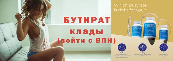 индика Гусь-Хрустальный