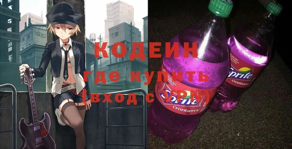 индика Гусь-Хрустальный