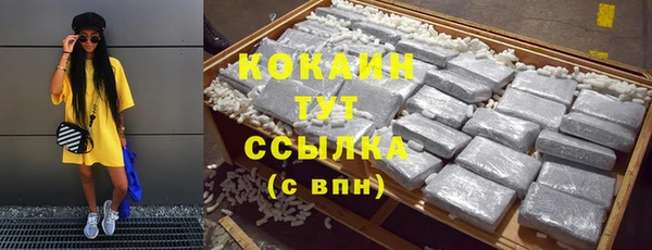 спиды Горняк